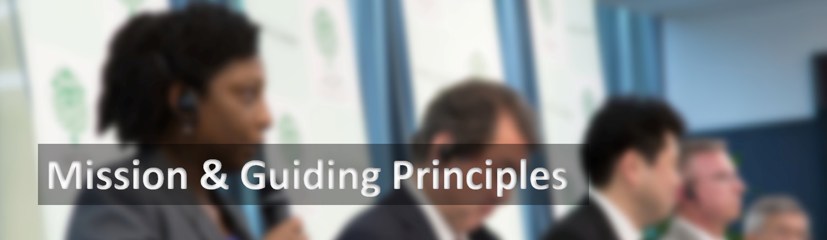 Mission & Guiding Principles