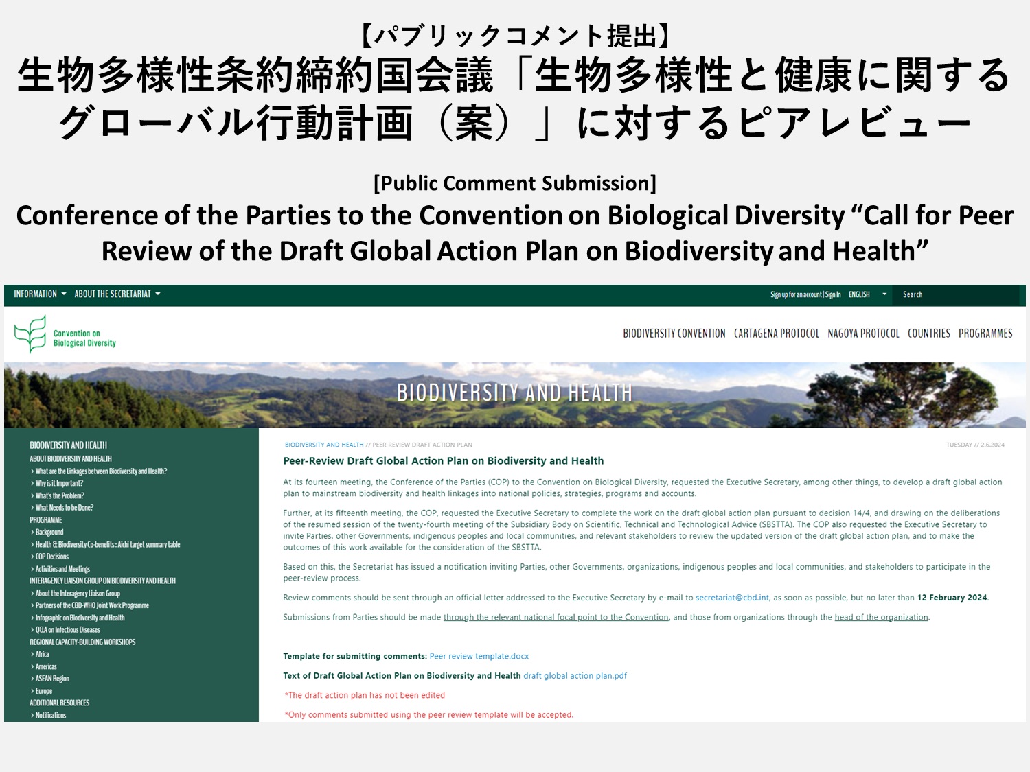 【パブリックコメント提出】生物多様性条約締約国会議「生物多様性と健康に関するグローバル行動計画（案）に対するピアレビュー」（2024年2月12日）