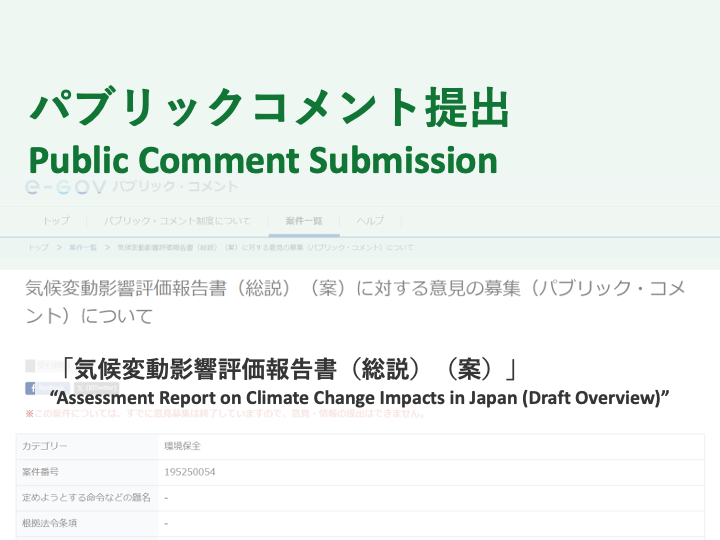 【パブリックコメント提出】「気候変動影響評価報告書（総説）（案）」（2025年12月24日）